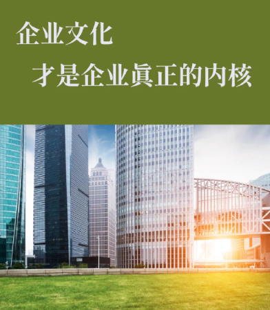 WP站长圈插件安全审计指南：常见漏洞类型及代码级排查方法